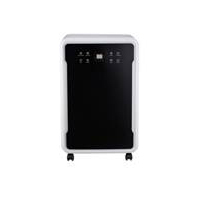 Бытовой осушитель воздуха Electrolux EDH-65L