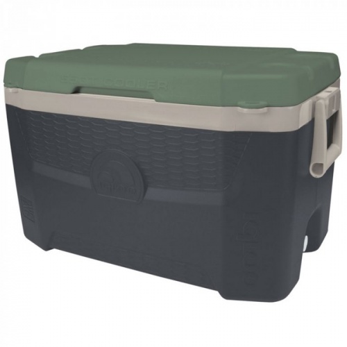 Термоэлектрический автохолодильник Igloo Quantum 55 black-green