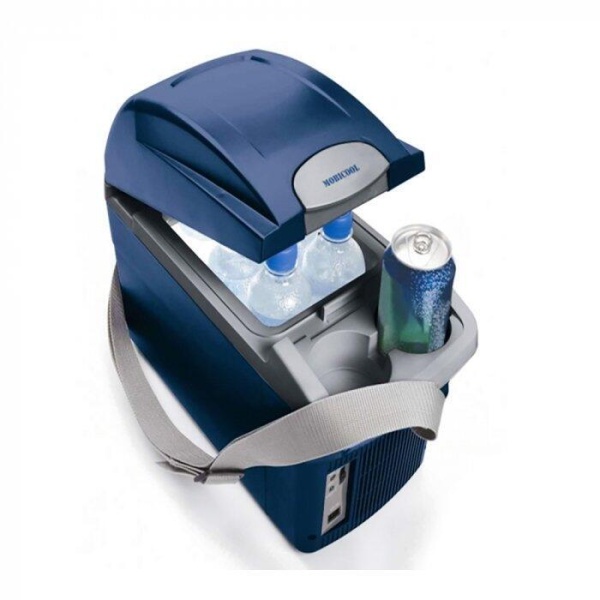 Термоэлектрический автохолодильник Mobicool T08 DC