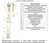 Насос погруж. скважинный Vodotok НЦПН-200-1.6м3-36м