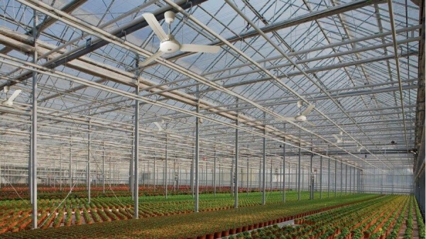 Вентилятор без подсветки Vortice Nordik International Plus 120/48