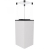 Газовый уличный обогреватель мощностью 8-10 кВт Kratki PATIO/M/G31/37MBAR/B - белое стекло, с ручным
