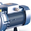 Поверхностный насос Pedrollo F4 40/200A